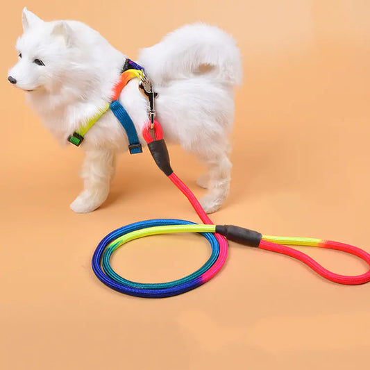 Colorful Nylon Round Dog Rope