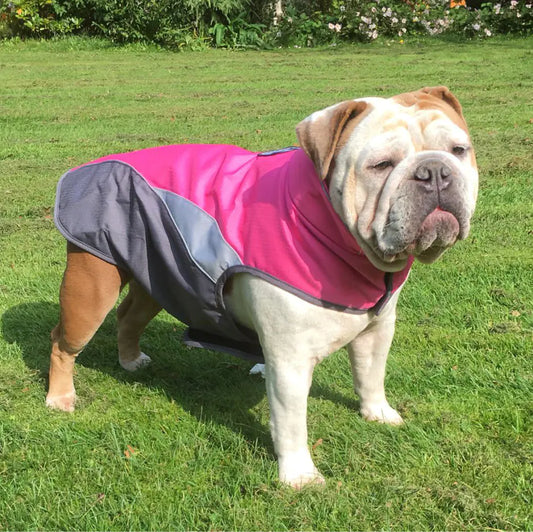 Waterproof Raincoat and Insulated Jacket for Pets