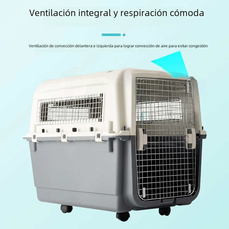 Portable Pet Airline Carrier for Dogs and Cats