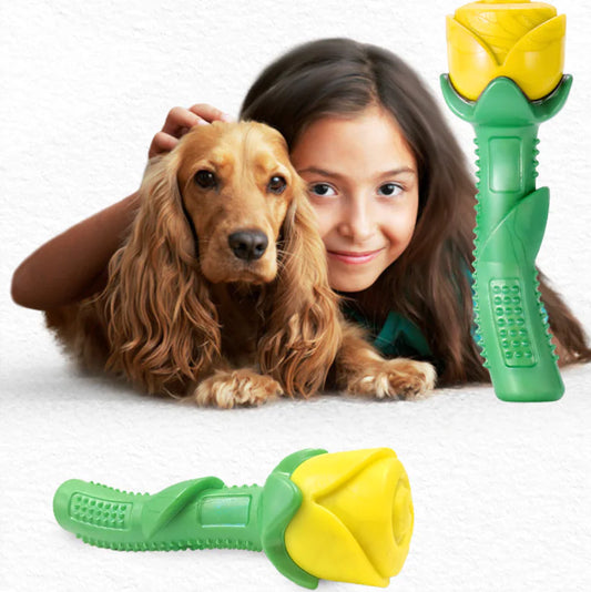 Dog Teether Toy for Pets