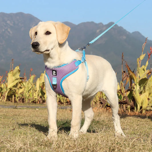 Adjustable Breathable Pet Harness with Leash