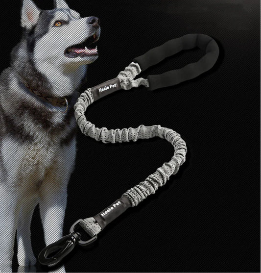 Elastic Dog Traction Rope