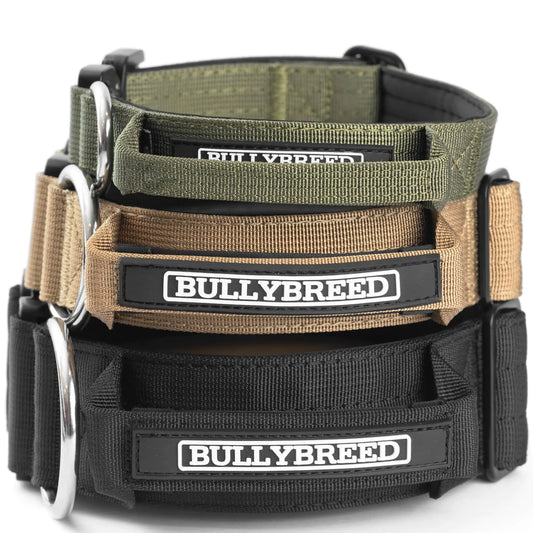 BULLYBREED Premium Dog Collar with Metal Buckle