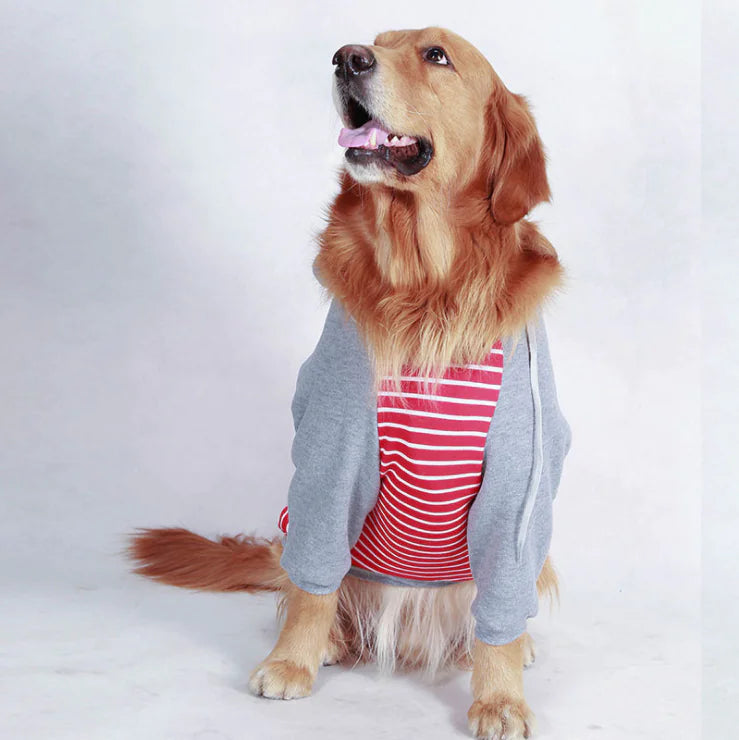 Cotton Pet Hoodie for Large Dogs in Autumn/Winter