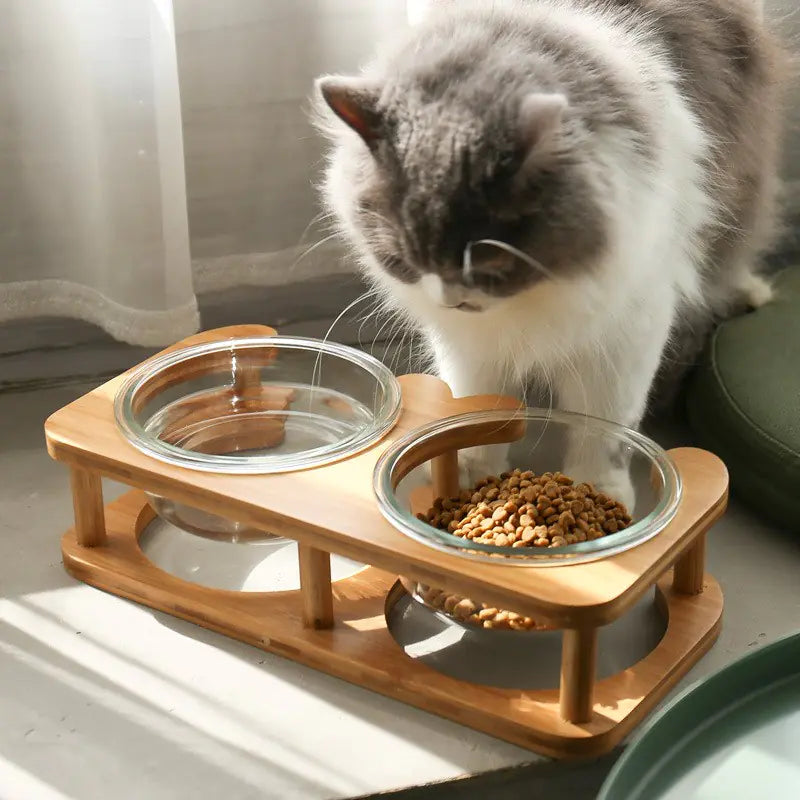 Cat Accessories