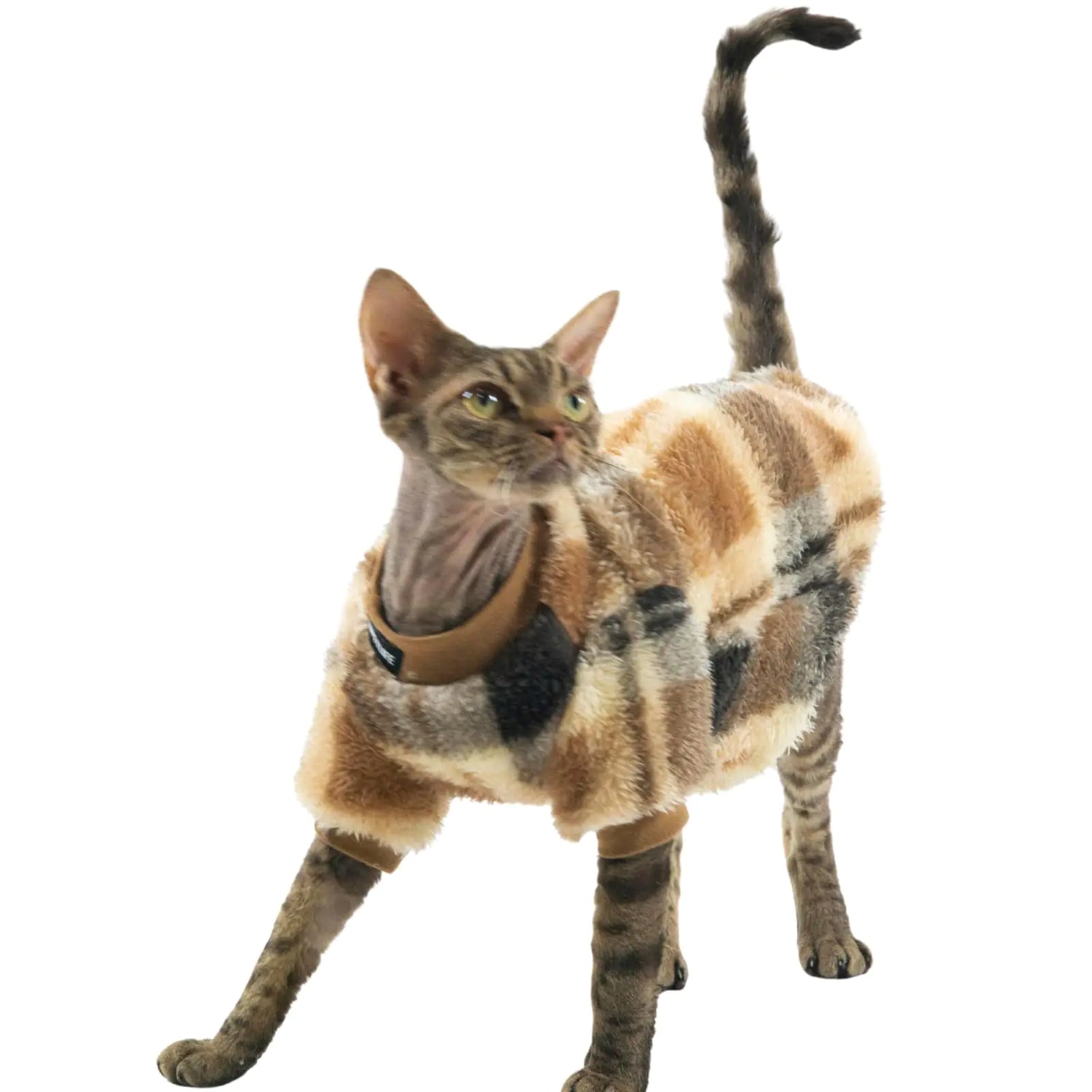 Cat Clothing