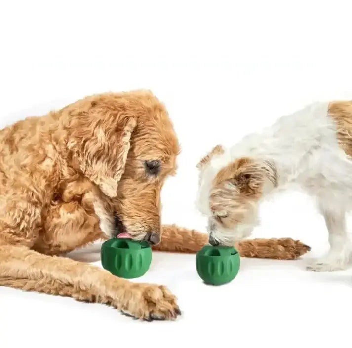 Pet Toys and Costumes