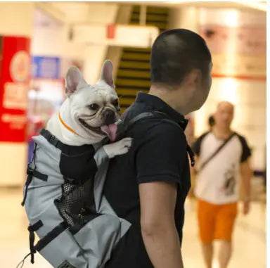 Pet Backpack for Dogs, Ventilated and Washable