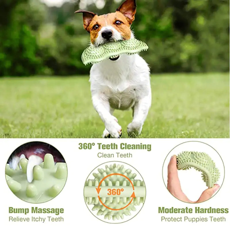 Bite-Resistant Dog Chew Toy