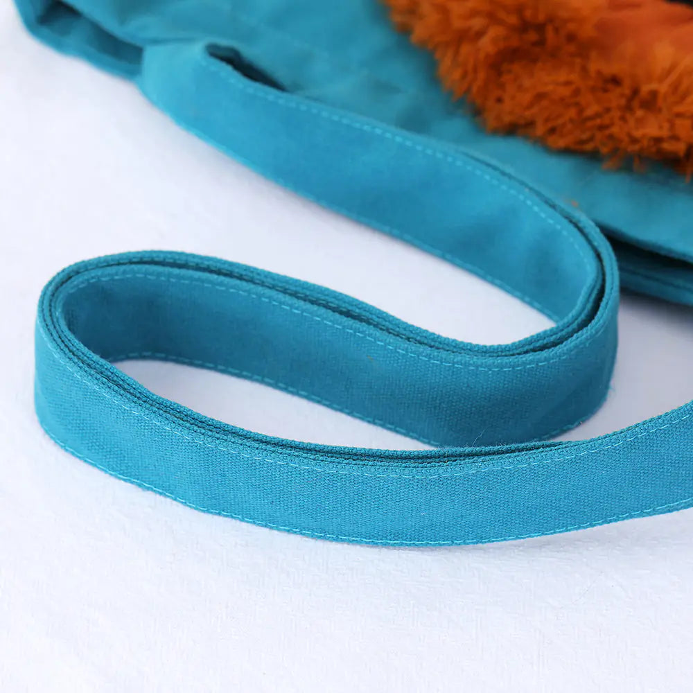 Lion Design Soft Pet Carrier Bag for Cats and Dogs