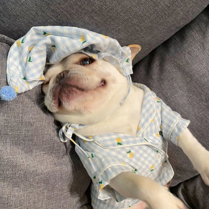 Teddy Schnauzer Clothing for Dogs and Cats