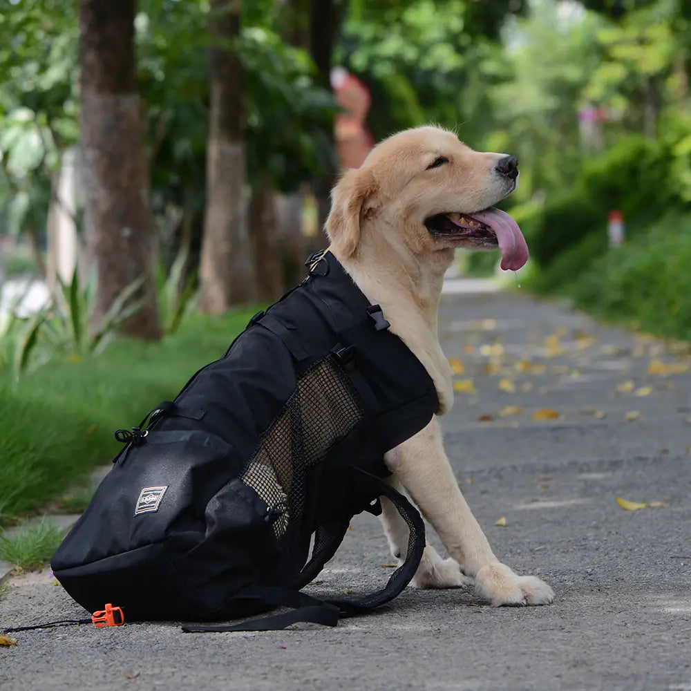Pet Backpack for Dogs, Ventilated and Washable