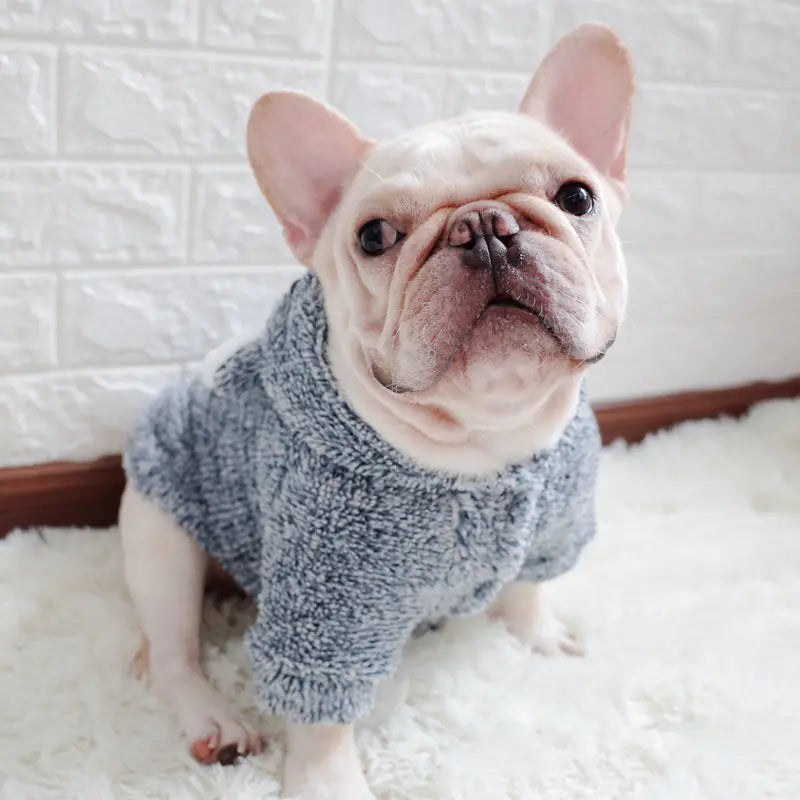New Autumn Winter Pet Cotton Clothes for Dogs