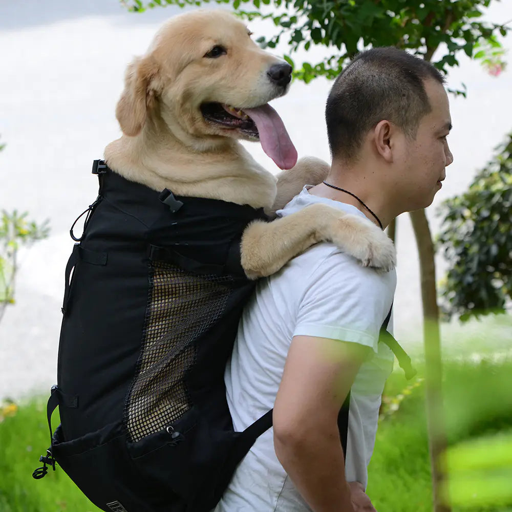 Pet Backpack for Dogs, Ventilated and Washable
