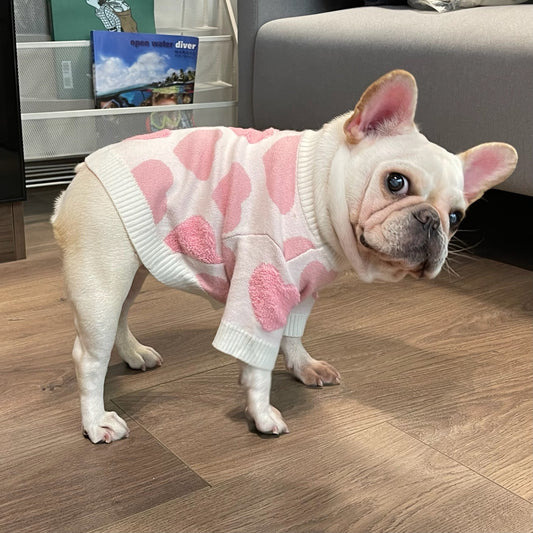 Fall Winter Sweater for Dogs and Cats - Teddy & Schnauzer