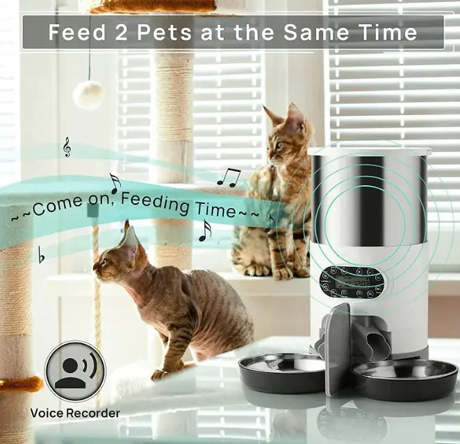 Double Meal Dispenser