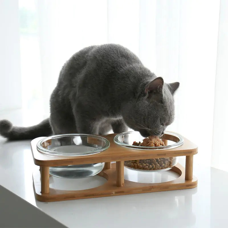 Glass Cat Bowl and Dog Bowl with Neck Support (Double)