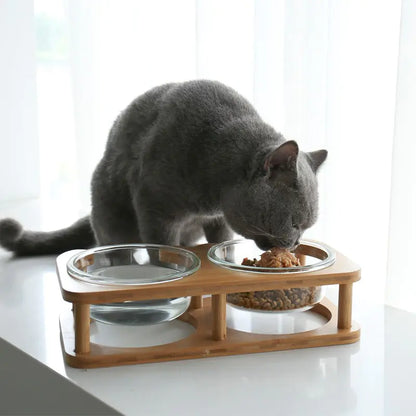 Glass Cat Bowl and Dog Bowl with Neck Support (Double)