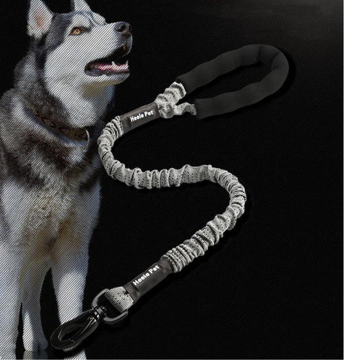 Elastic Dog Traction Rope for Pet Supplies