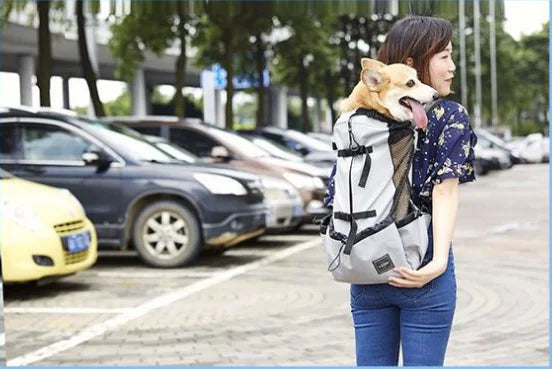 Pet Backpack for Dogs, Ventilated and Washable
