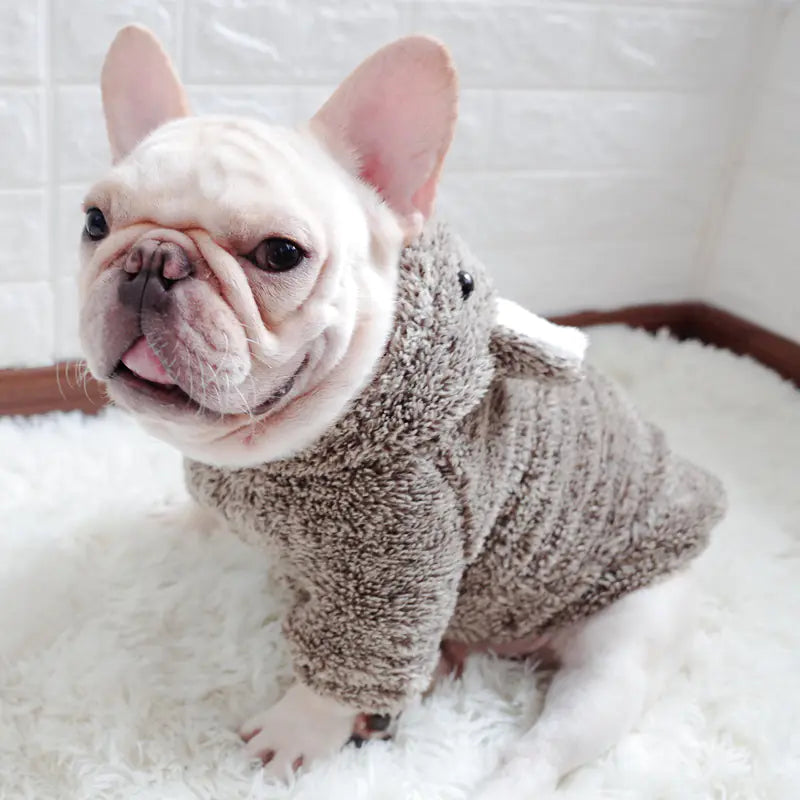 New Autumn Winter Pet Cotton Clothes for Dogs